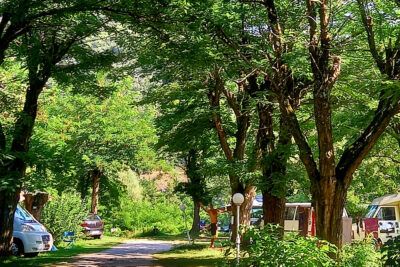 Campsite pitch Campsite pitch