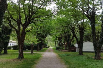 Campsite Tournon sur Rhône | Shaded pitches